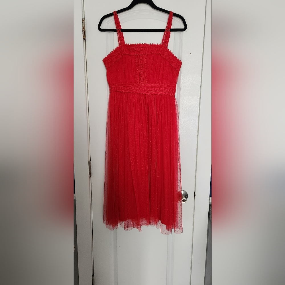 Cocktail Dress